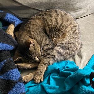 Meet your Posher, Carl